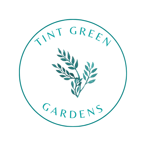 Tint Green logo - transparent