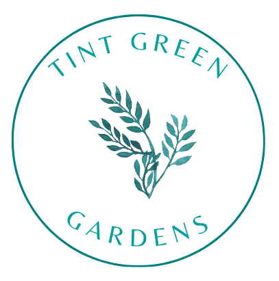Tint Green logo - transparent